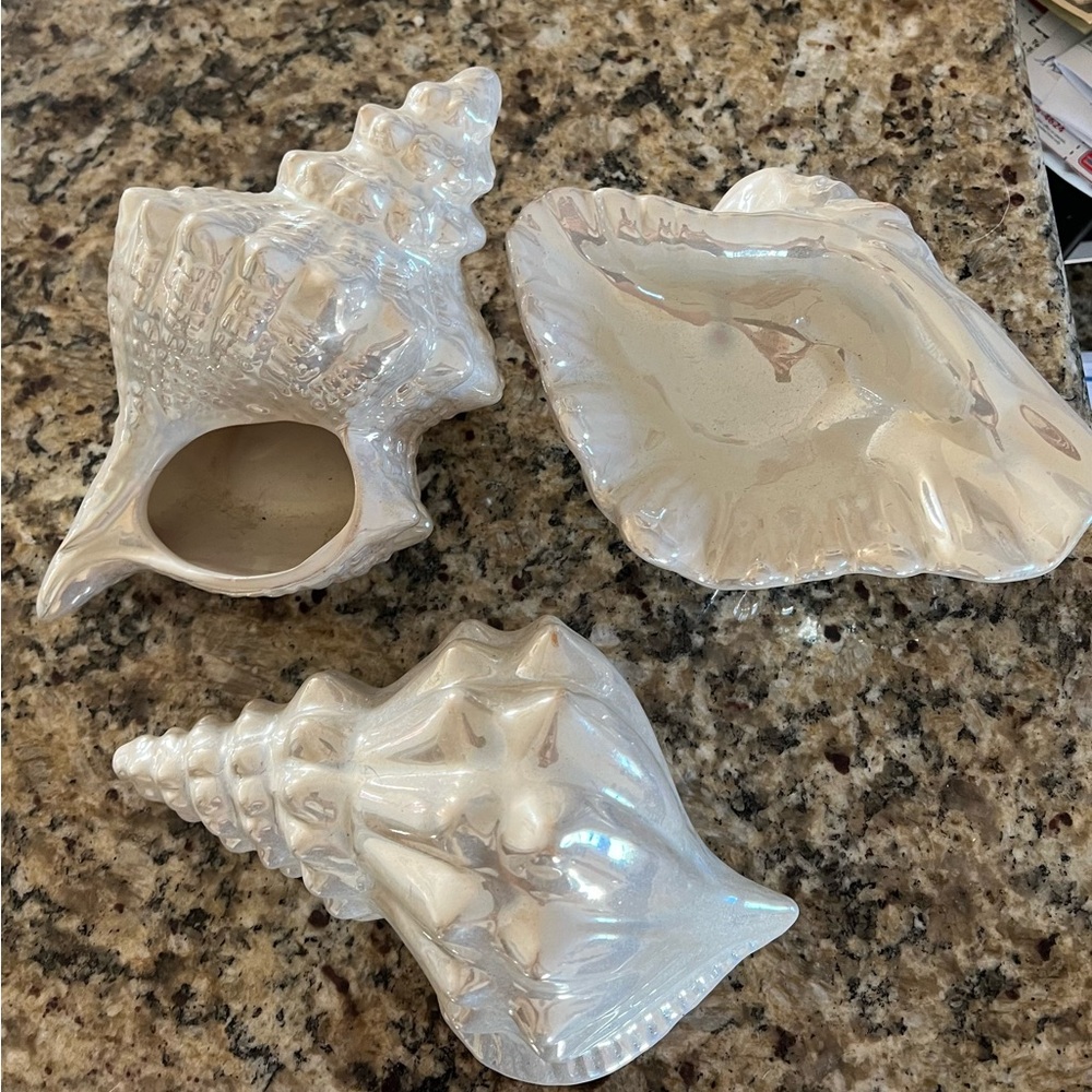Sea Shell decor